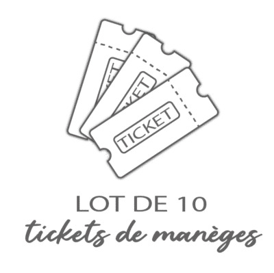 Lot de 10 tickets de manège